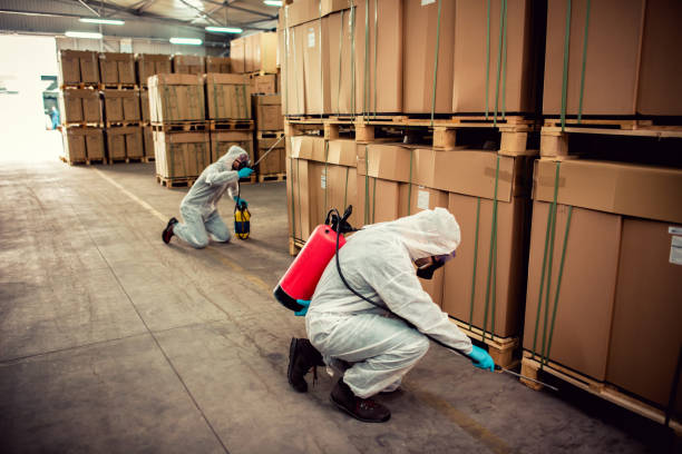 Best Affordable Pest Control Services  in West Fairview, PA