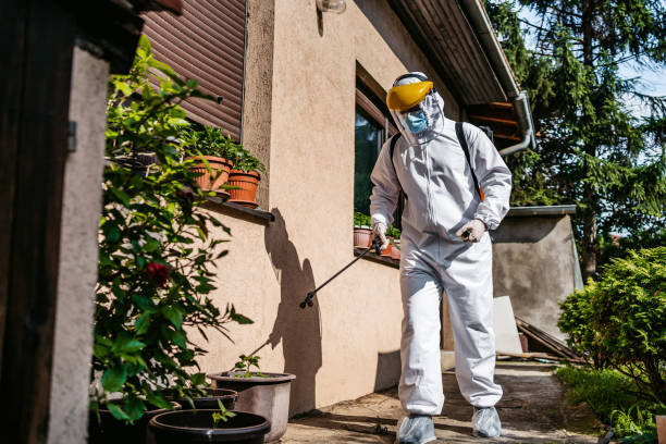 Best Emergency Pest Control  in West Fairview, PA