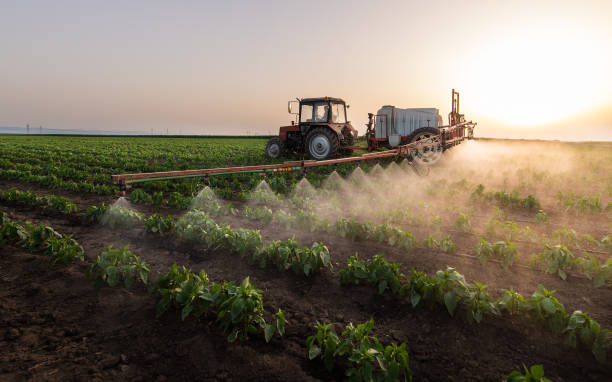 Best Pest Removal Services  in West Fairview, PA
