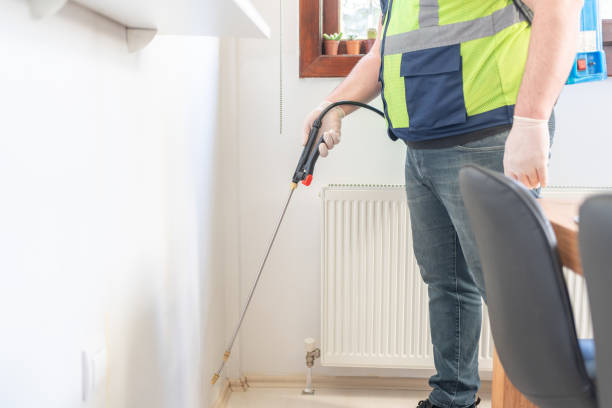 Best Termite Control Services  in West Fairview, PA