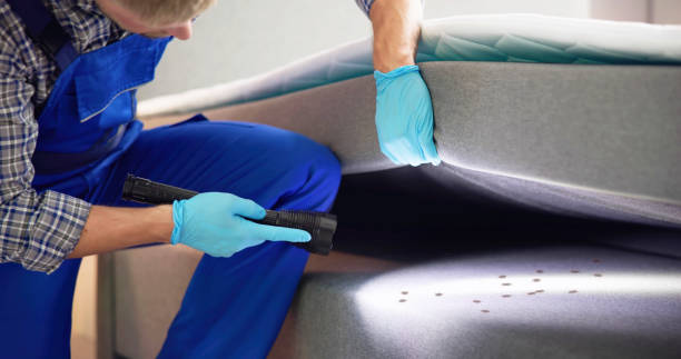Best Best Pest Control Near Me  in West Fairview, PA